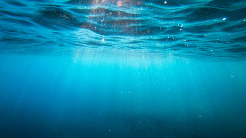 Totox score measures omega-3 quality from fish oil