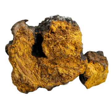 KÄÄPÄ Organic Chaga Extract Powder