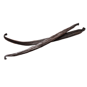 Organic Bourbon vanilla